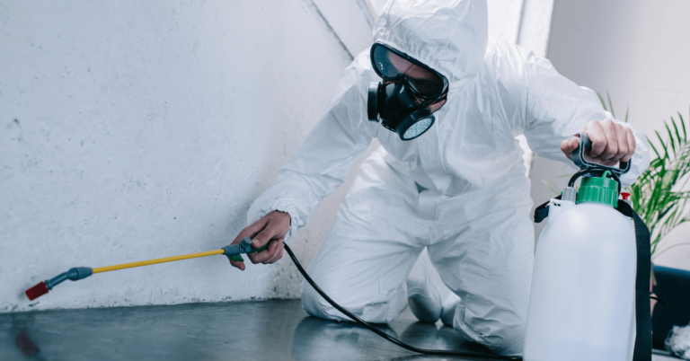 Pest Control Services in Delhi Unit Pest Control in Delhi