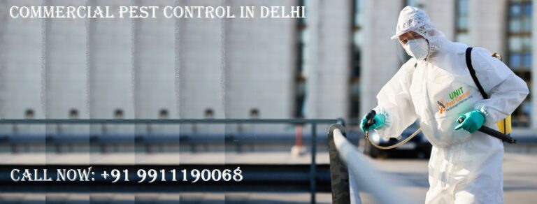 Unit Pest Control: Your Solution to Commercial Pest Control in Delhi