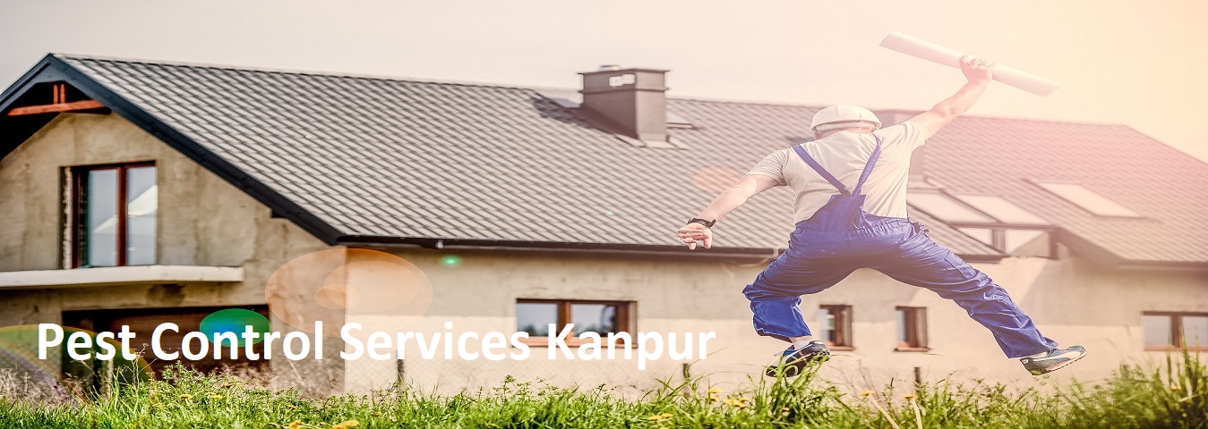 Pest Control Services Kanpur