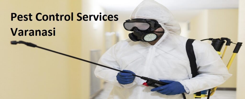 Pest Control Services Varanasi
