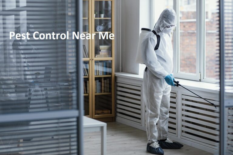 Pest Control Service Near Me