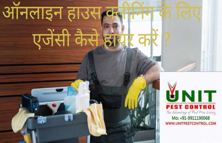 House Cleaning in India