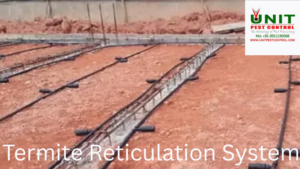 Anti Termite Reticulation System