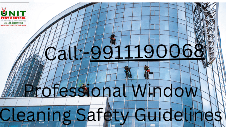 Professional Window Cleaning Safety Guidelines