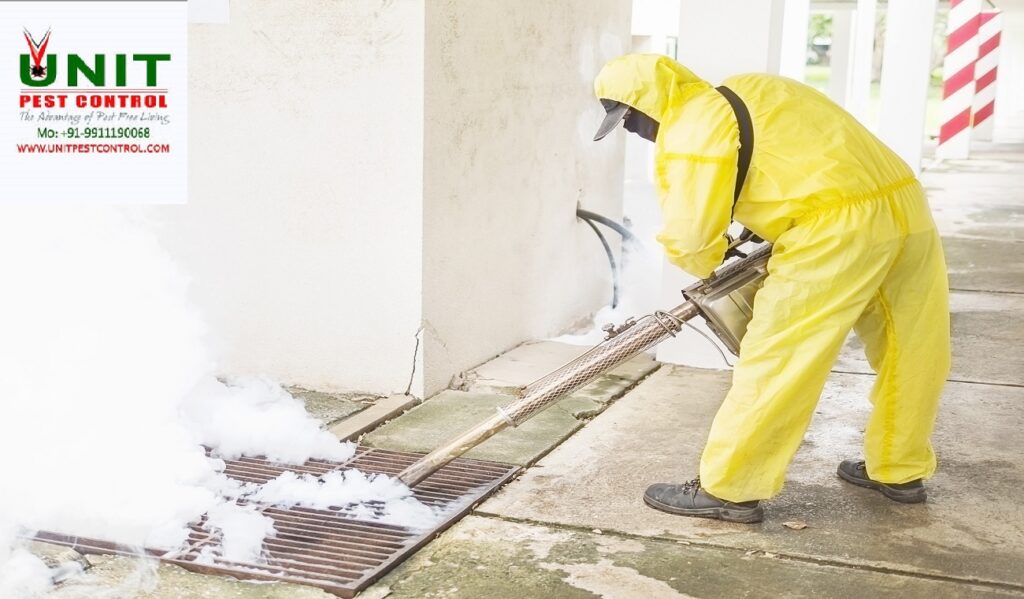 Termite Control Service in Vasant Kunj