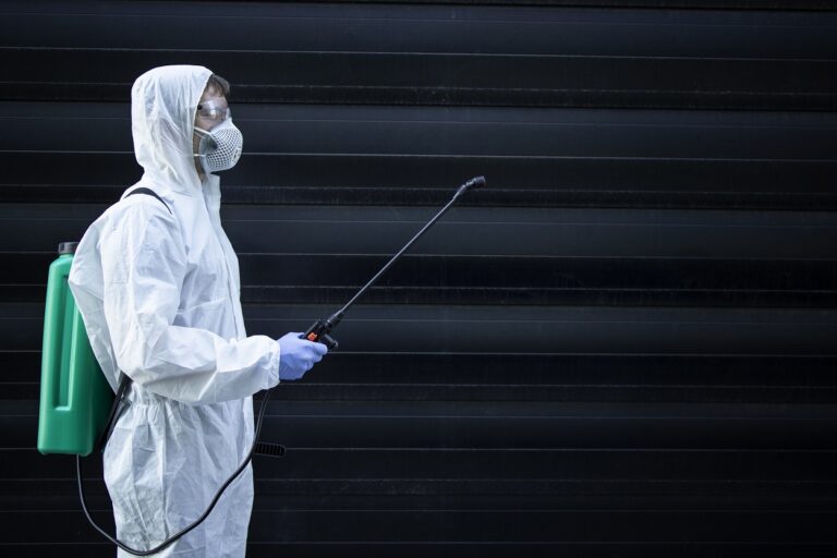 Eco-Friendly Pest Control for Homes- What It Really Means